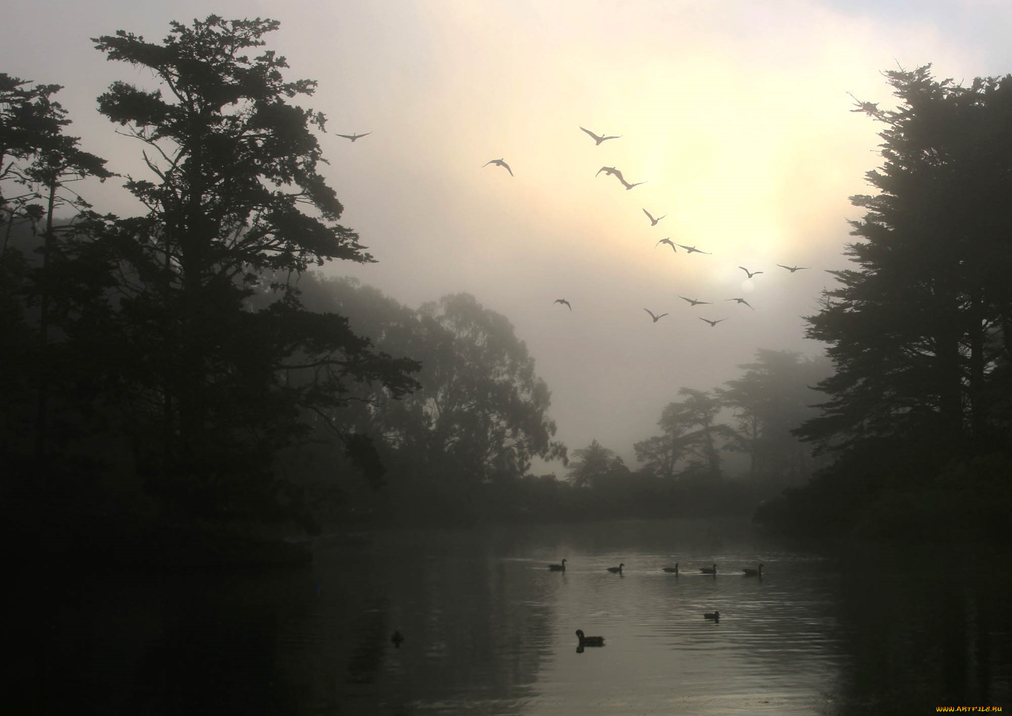 3 ,  , nature, , , , , 